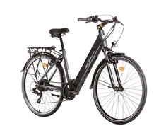 Elektrinis dviratis DENVER EMOTIVE 28", pilkas