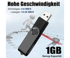 10 vnt. 1 Gb Usb 2.0 atmintinės