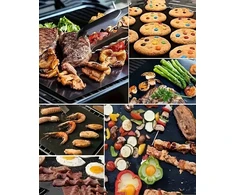 2x tefloninė kepimo grotelių padėklas bbq kepimo orkaitei