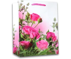 4 dovanų maišelių rinkinys din a4 ir din a5 dovanų maišeliai 18 x 23 x 10 cm ir 32 x 26 x 12 cm gimtadienio dovanų maišeliai popierius 160 g/m² dovanų pakavimo rinkinys combi large 12