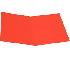 Alevar 3350/rosso Bristol aplankas