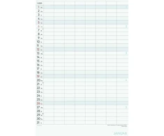 Alpha Edition - šeimos mega planuotojas Xl 2025, 33 x 49.5 cm, šeimos kalendorius su 8 stulpeliais susitikimams, daug vietos pastaboms, atostogų datos De/at/ch, vokiškas kalendorius
