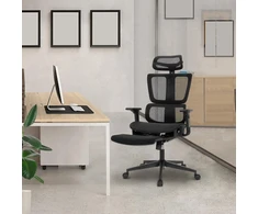 Alpha home ergonomiška biuro kėdė, rašomojo stalo kėdė su kojų atrama, reguliuojama juosmens atrama ir galvos atlošu, kvėpuojanti kompiuterio kėdė su 3d porankiais namams, biurui, studijoms