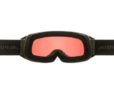 Alpina unisex slidinėjimo akiniai (1 vnt.)
