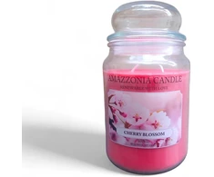 Amazzonia žvakė vyšnių žiedai 530g natūralaus sojų vaško žvakė su dviem dagčiais vyšnių namų dekoratyvinis stiklainis yankee village scents
