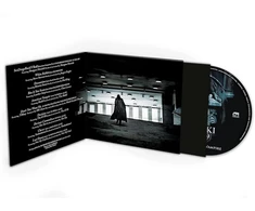 Vinilinė plokštelė American vampires