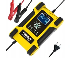 Anytech.pl 12v 24v 12a automobilinis akumuliatorių įkroviklis Foxsur mikroproc. remontui