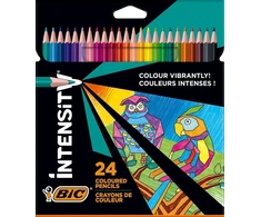 Art &amp; Fun Bic spalvoti pieštukai, 24 vnt.
