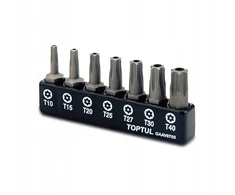 Atsuktuvų antgalių bitų rinkinys 1/4'' 7 vnt. torx su skyle toptul