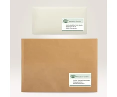 Avery Zweckform Lr7177-100 etiketės iš perdirbto popieriaus (1200 adresų etikečių, 99,1 x 42,3 mm ant A4 formato lapo, 100% perdirbtas popierius, spausdinamos, lipnios, skirtos Din ilgo formato vokams), 100 lapų, natūralios