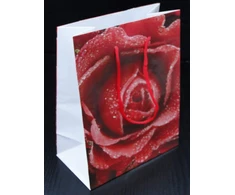 Bagland Flower Emotions 3 popieriniai dovanų maišeliai - 160 gsm Economy Pack - 12 asorti pakuotė, 26 x 32 x 10 cm