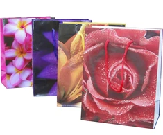 Bagland Flower Emotions 3 popieriniai dovanų maišeliai - 160 gsm Economy Pack - 12 asorti pakuotė, 26 x 32 x 10 cm