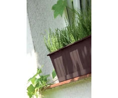Balkono lovelis Kotarbau, 50 cm