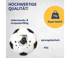 Best Sporting Fun Pvc kamuolys 23 cm futbolas / paplūdimio kamuolys / vandens kamuolys, spalvotas