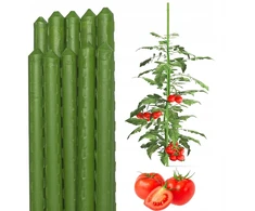 Bradas 10 vnt. augalų atrama, dengtas plieno kuolas pomidorams, gėlėms, 120 cm