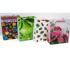 Capiso 4 didelių dizaino dovanų maišelių rinkinys su tvirta virvele 32 cm x 26 cm x 12 cm dovanų maišeliai nešiojamas maišelis su rankena spalvingi maišeliai kraft popieriniai maišeliai