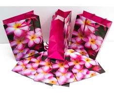 Capiso 8 vidutinio dydžio dovanų maišelių rinkinys su tvirta virvele 23 cm x 18 cm x 10 cm. Dovanų maišeliai su rankena, skirti vakarėliams. Spalvingi maišeliai iš kraft popieriaus