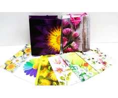 Capiso 8 vidutinio dydžio dovanų maišelių rinkinys su tvirta virvele 23 cm x 18 cm x 10 cm, dovanų maišeliai su rankena, vakarėlių maišeliai, spalvingi maišeliai, kraft popieriniai maišeliai