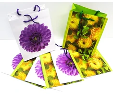 Capiso 8 vnt. vidutinio dydžio dovanų maišelių su tvirta virvele 23 cm x 18 cm x 10 cm, dovanų maišeliai su rankena, vakarėlių maišeliai, spalvingi maišeliai, kraft popieriniai maišeliai, gėlės