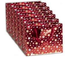 Clairefontaine 212903cpack - 5 dovanų maišelių rinkinys - aukščiausios kokybės pirkinių formatas - 32 x 13 x 24,5 cm - 210 g - žvaigždės raudoname fone - dovanų pakavimas - idealiai tinka: