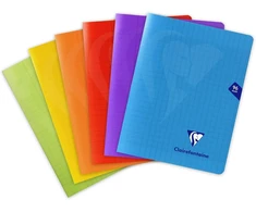 Clairefontaine 393741amzc sąsiuvinių rinkinys su sąsagomis Mimesys bespalvis - 17 x 22 cm - 96 puslapiai dideliais langeliais - baltas popierius 90 g - polipropileno viršelis