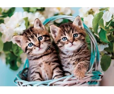 Clementoni Lovely Kitty Twins vaikiška dėlionė 60 maxi detalių - 33,5 x 23,5 cm dydžio dėlionė vaikams nuo 4 metų - įgūdžių žaidimas, animacinė dėlionė - 26599