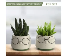 Comforder gėlių vazono galvos rinkinys iš 2 dalių - juokingi dekoratyviniai vazonai gėlėms, sukulentams, kaktusams - keraminiai vazonai namų dekoravimui lentynoms ir palangėms - 6,5 cm vidinis skersmuo