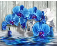 Dcidbei apvalus 5d deimantinis paveikslas orchidėja 50 x 40 cm deimantiniai paveikslai suaugusiems krištolo kalnų krištolas siuvinėjimas deimantų tapyba pagal skaičius orchidėjos zen paveikslai kryželiu siuvinėjimas