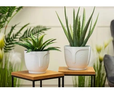 Dėklas gėlių vazonui For Home svetainei virtuvei Veidas Galva baltas plastikas