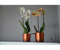 Dekoratyvinė oranžinė blizgi 14 cm gėlių vazonas