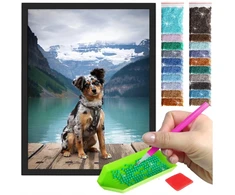 Diamond painting mozaika su rėmeliu