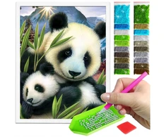 Diamond painting paveikslas su rėmeliu