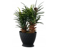 Dirbtinė palmė Areka vazone, aukštis 24 cm