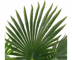 Dirbtinė palmė su vazonu, 70 cm, žalias