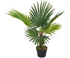 Dirbtinė palmė su vazonu, 70 cm, žalias
