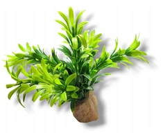 Dirbtinis augalas ant akmens Stoneplant Typ 15 Terraquality