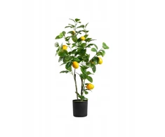 Dirbtinis augalas Citrus su citrinomis 75 cm Homla