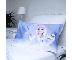 Disney Jerry Fabrics Frozen patalynės komplektas ** Elements **, spalvingas, 2 dalys, 100 x 135 cm