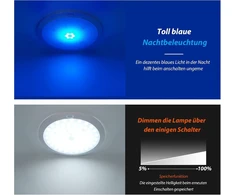 Dream lighting 12 V Led lubinis šviestuvas kemperiui, nameliui ant ratų, valčiai, jachtai, priminimas, reguliuojamas, Ip44, 21 cm, šaltai balta