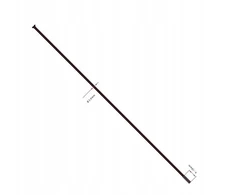 Dt Swiss Champion 2.0 mm Straight Pull stiprintuvai, 280 mm