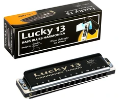 East top lucky 13 bass plus bliuzo armonikėlė 13 skylių diatoninė arfa burnos vargonai profesionalūs muzikos instrumentai sumažinta c tonacijos armonikėlė suaugusiems