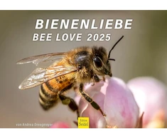 Edition Seidel Andrea Dreegmeyer Premium kalendorius Bee Love 2025 formatas Din A3 sieninis kalendorius Bee Bumblebee Flowers Flowers