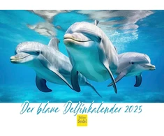 Edition Seidel Premium kalendorius, Mėlynojo delfino kalendorius, 2025 formatas, Din A4, sieninis kalendorius, gyvūnų kalendorius, delfinas, delfinai, žinduoliai, jūra, vandenynas