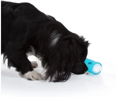 Edupet Amigo interaktyvus žaislas-maisto dozatorius šunims Dog-n-roll, 10 cm