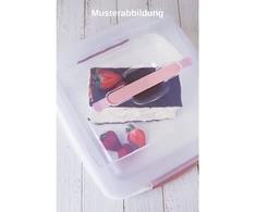 Engelland stačiakampė torto dėžė su rankena, dangteliu ir 2 užsegimais, spalva: juoda/skaidri, ilgis 27,5 cm x plotis 26,5 cm x aukštis 12,5 cm, be Bpa, torto dangtis, stačiakampė