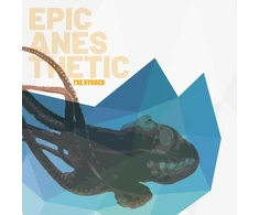Epic Anesthetic