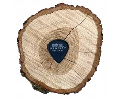 Ernie Ball Prodigy Mini 1.50 mm gitaros mediatorių