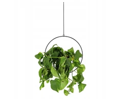 Esschert Design pakabinamas gėlių vazonas lovelis, juodas, loft stiliaus, modernus, Py148