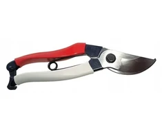 Euroflora Okatsune 103 Precauter
