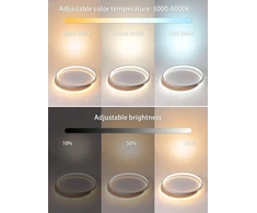 Fanlg Led lubų šviestuvas 40 cm, pritemdomas, 3000-6000k, modernus